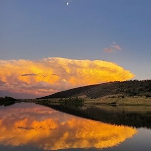 Meet your Posher, Cooper